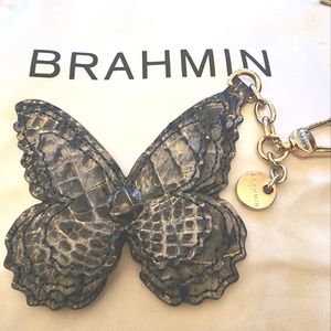Brahmin Butterfly Glacier